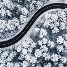 Tapeta Les z ptačí perspektivy, 360 x 260 cm - 3