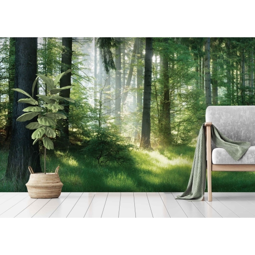 Tapeta Lesná pohoda, 504 x 310 cm - 1