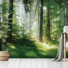Tapeta Lesná pohoda, 504 x 310 cm - 1