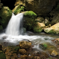 Tapeta Lesný potok, 288 x 200 cm - 2