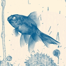 Tapeta Modré rybky, 144 x 105 cm - 3