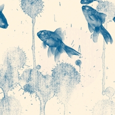 Tapeta Modré rybky, 360 x 260 cm - 2