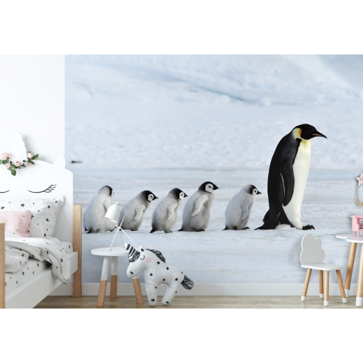 Tapeta Rodina tučňáků, 216 x 140 cm - 1