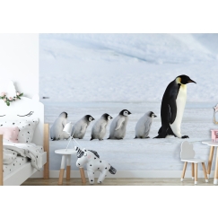 Tapeta Rodina tučňáků, 432 x 290 cm