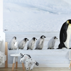 Tapeta Rodina tučňáků, 504 x 310 cm - 1
