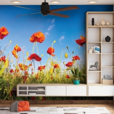 Tapeta Vlčí máky, 432 x 290 cm - 1
