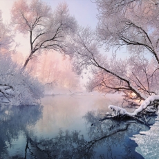 Tapeta Zimná krajina, 216 x 140 cm - 2