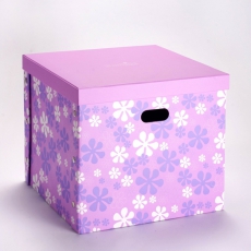 Úložná krabica s vekom MODlife - 1