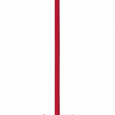 Vánoční ozdoba Vánoční dárek 2009 - 3