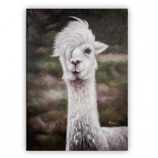 Obraz Cool Lama 100 cm, olej na plátne