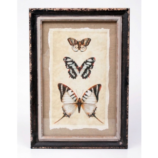 Obraz Motýli, 34x24 cm